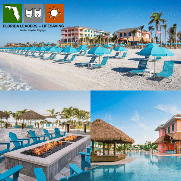 Margaritaville Beach Resort Fort Myers